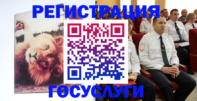 временная регистрация адрес в Приморско-Ахтарске